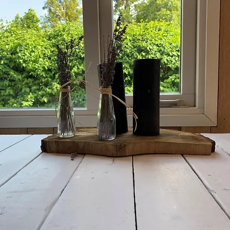 Appartement New: Recent Opgeknapte Houten Chalet - De Veluwe