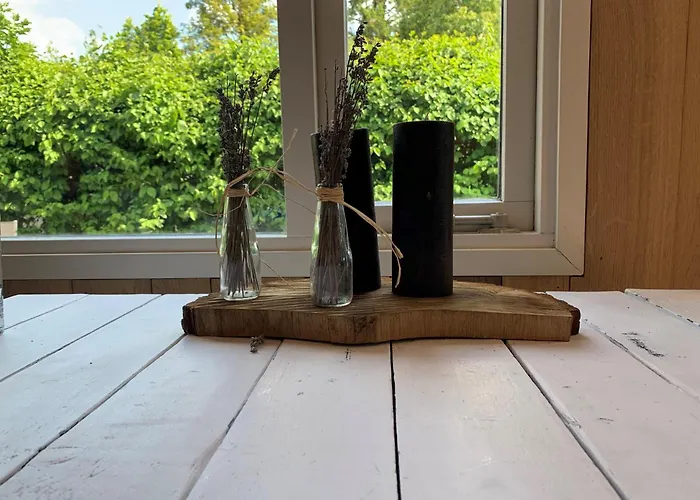 Apartamento New: Recent Opgeknapte Houten Chalet - De Veluwe